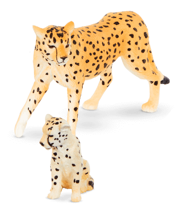 slider-african-cheetah-1-OCT2023.png