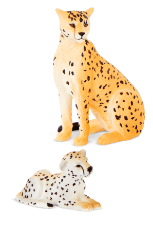 slider-african-cheetah-2-OCT2023.png