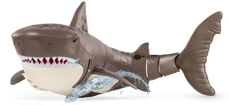 slider_AN2948-Leopard-Shark