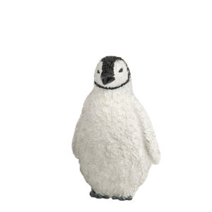 front view adult penguin