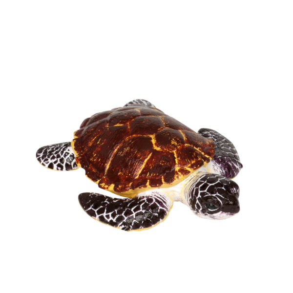 image of Sea Turtle