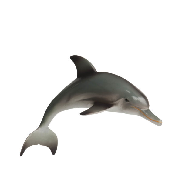 right side view of dolphin