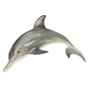 side view of dolphin