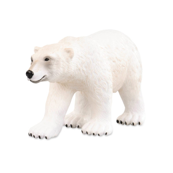 side view of polar bear