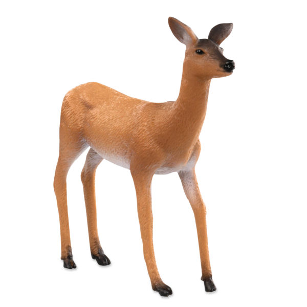 side view of white tailed doe