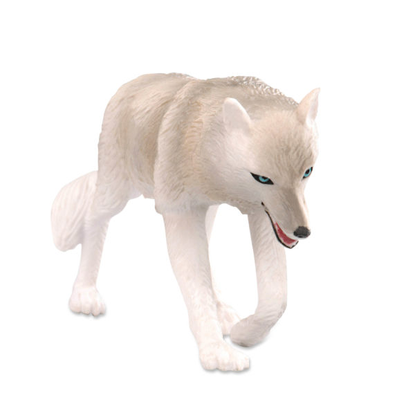 front view of wolf