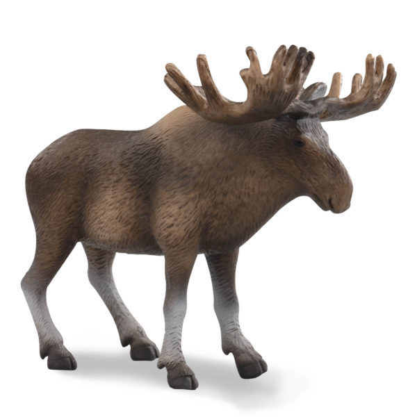 side view of a moose