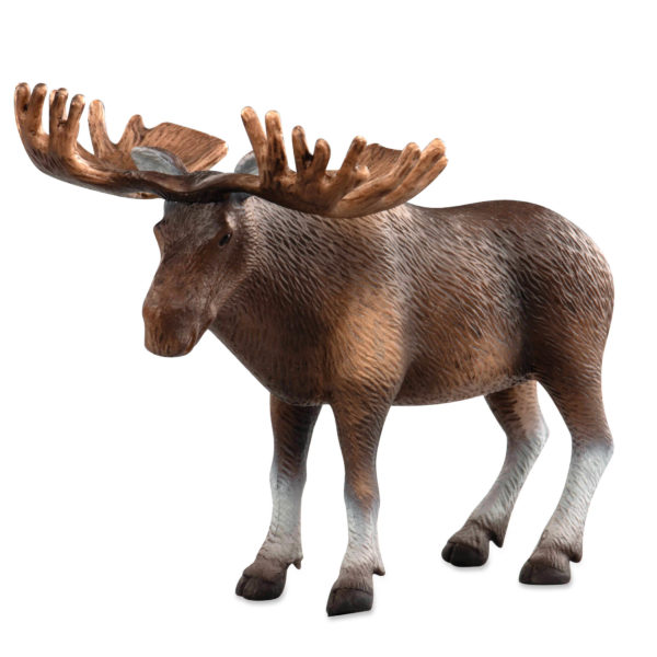side view of a moose