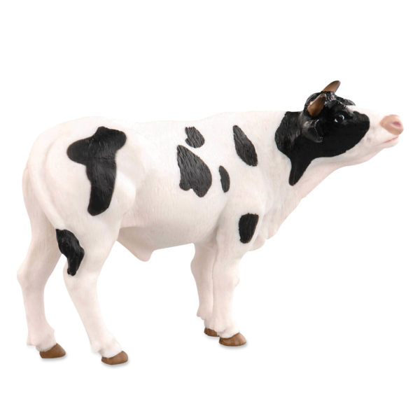 side view of Holstein bull