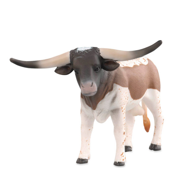 front view of Longhorn bull