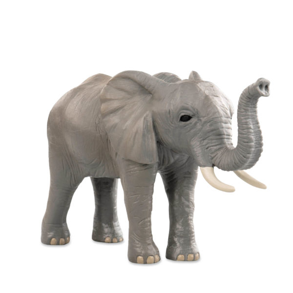 side view of elephant