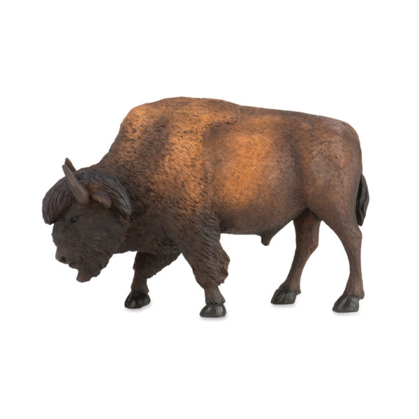 side view of bison