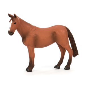 side view of a Quarter Horse
