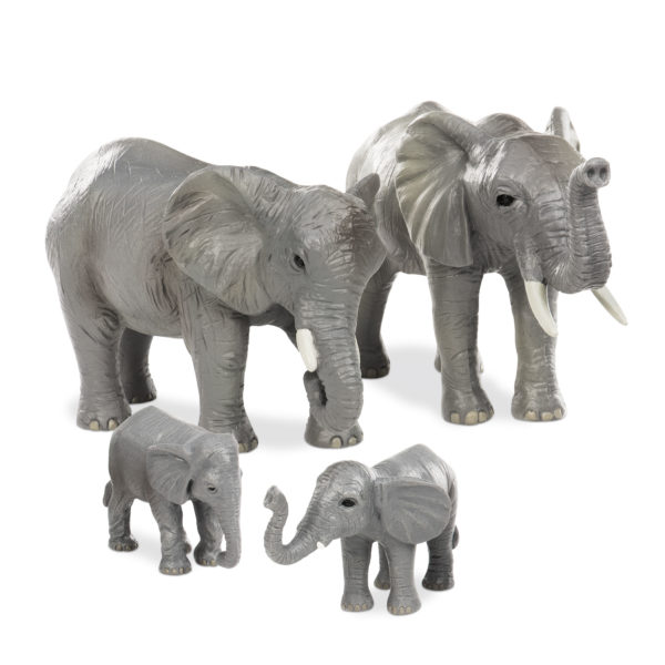 elephant grey