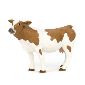 side view of Holstein cow