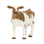 front view of Holstein cow