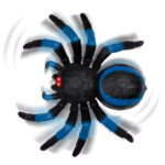 Remote control blue spider electronic tarantula animal toy