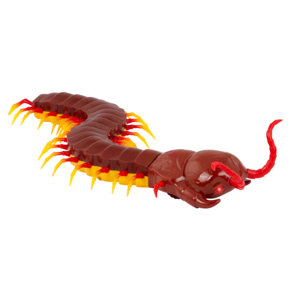 Remote control giant centipede educational toy