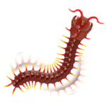 Remote control giant centipede toy RC insects and animals