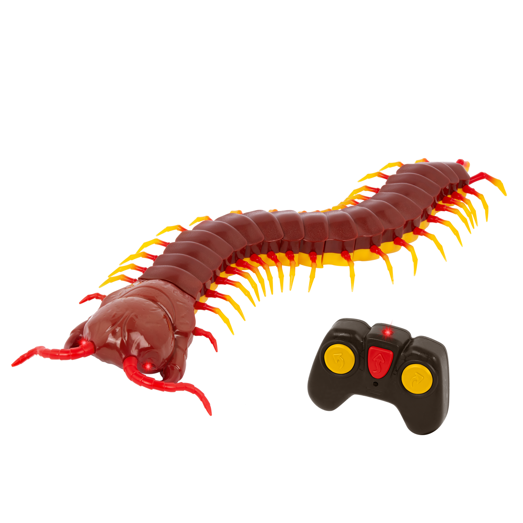 Giant Scolopendra Terra By Battat