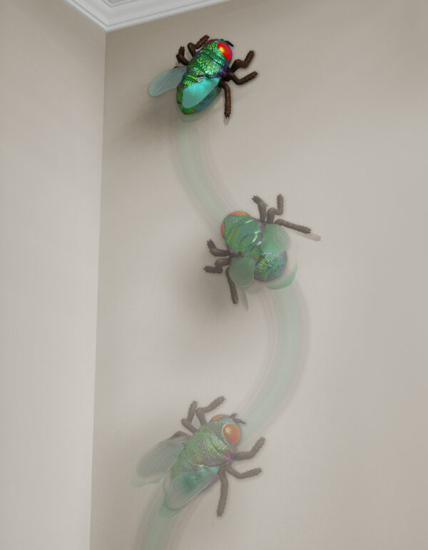 Remote control climbing fly
