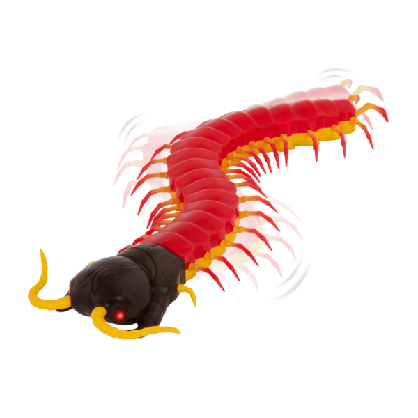 RC centipede remote control bug insect toy for kids