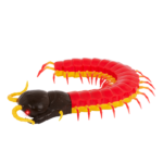 RC centipede remote control bug insect toy for kids