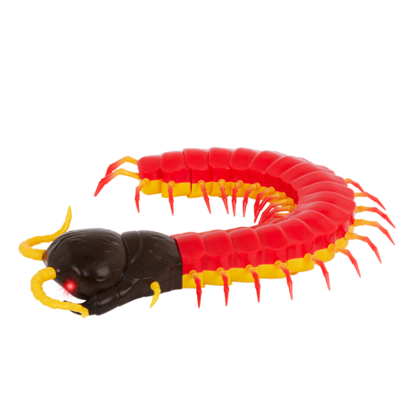 RC centipede remote control bug insect toy for kids