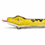 Remote control anaconda toy