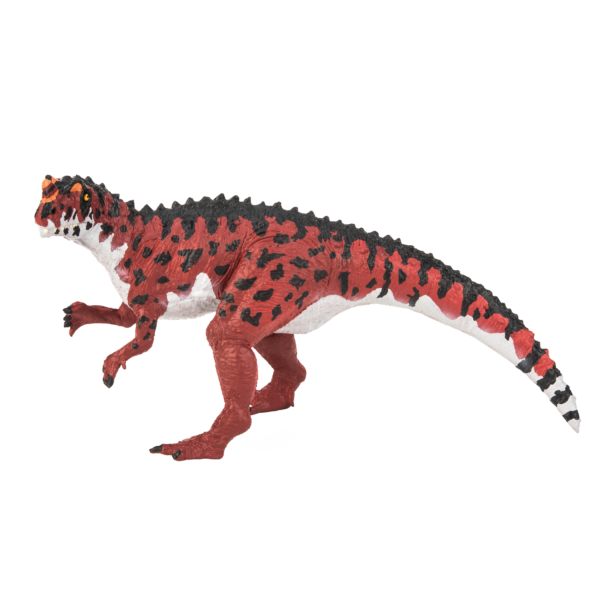 Ceratosaurus Nasicornis