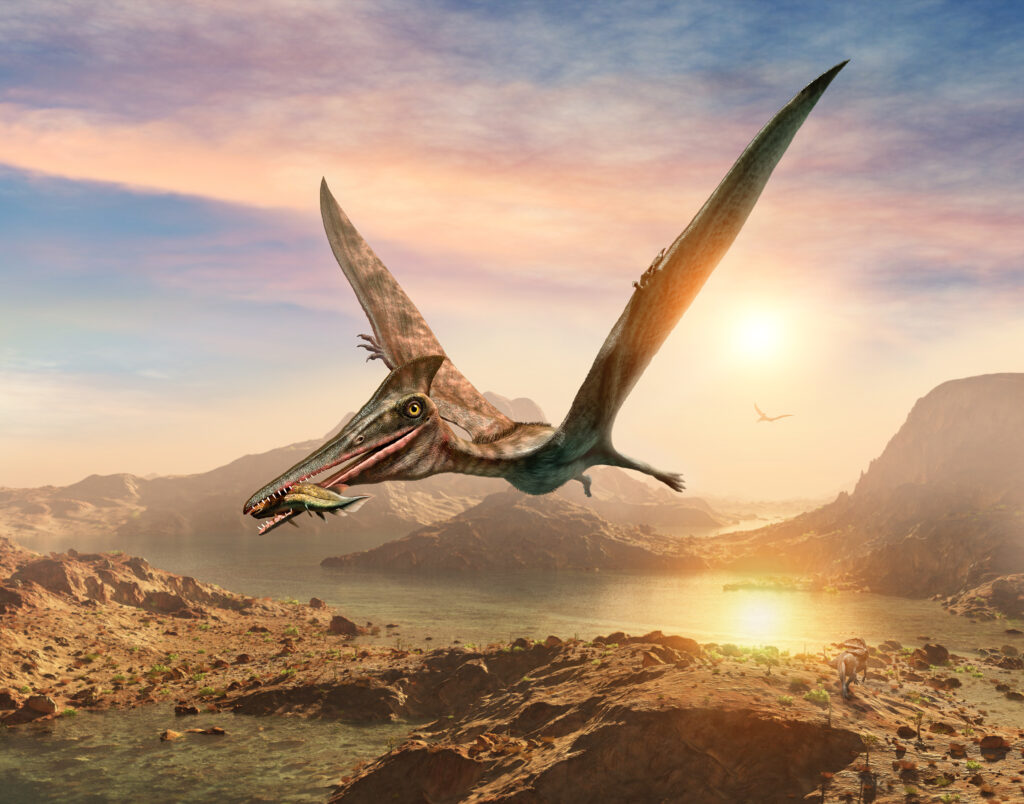 Pterosaur scene 3D illustration Pterodactyl flying with fish in its mouth