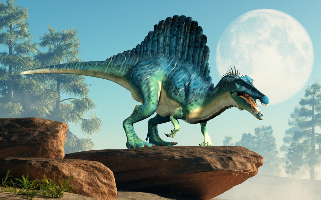 A spinosaurus on a cliff by the moon. Spinosaurus was semi-aquatic dinosaur from the Cretaceous period. It was one of the largest carnivorous dinos. 3D Rendering Spinosaurus on a cliff