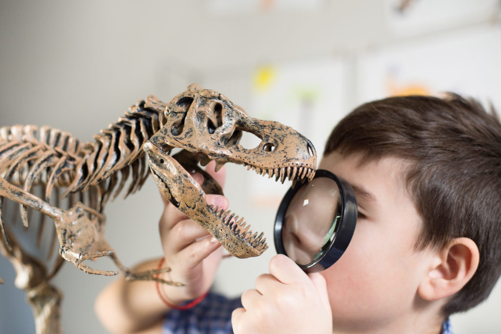 museum activities for kids educational outings