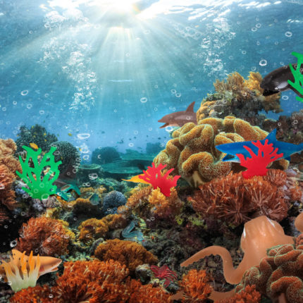 Underwater shot of the vivid coral reef at sunny day