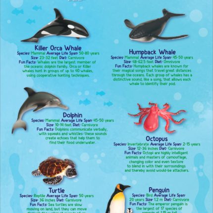 A poster with Ocean Animals and Ocean Animal Facts