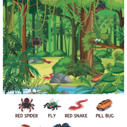 Terra_Find_The_Hidden_RCs-compressed_page-0001 (1)