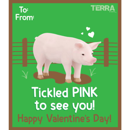 Terra_Valentines-single-whitebkg