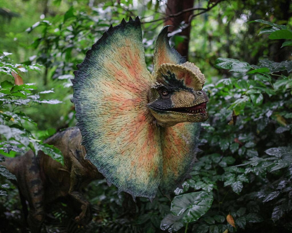 Dilophosaurus Height Fun Facts About Dinosaurs